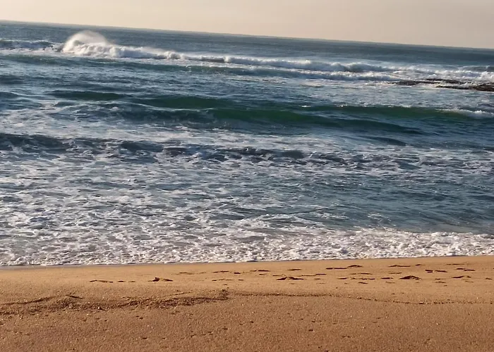 Whispering Waves